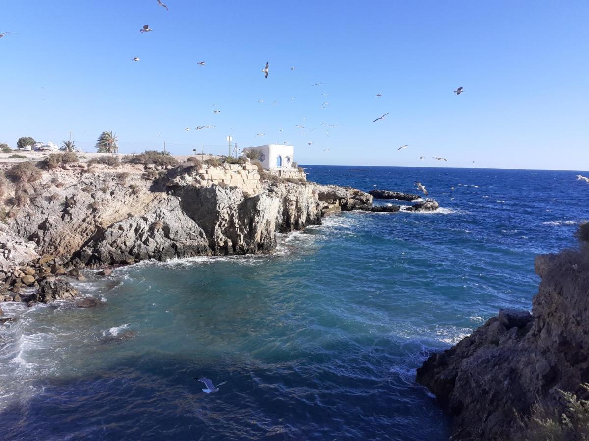 Apartamento Santa Pola, En Playa Del Tamarit Con Piscina. エクステリア 写真